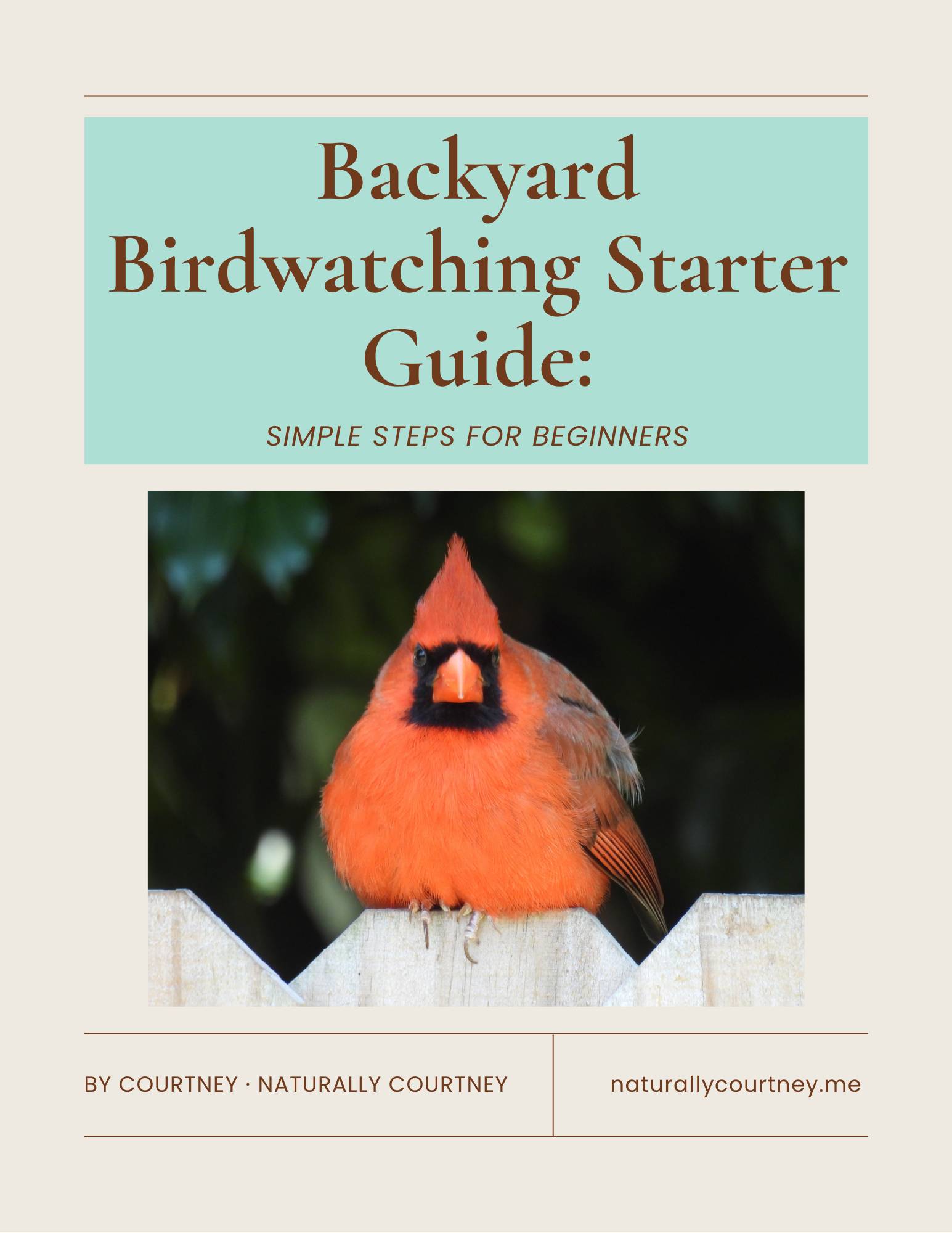 Backyard Birdwatching Starter Guide: Simple Steps for Beginners