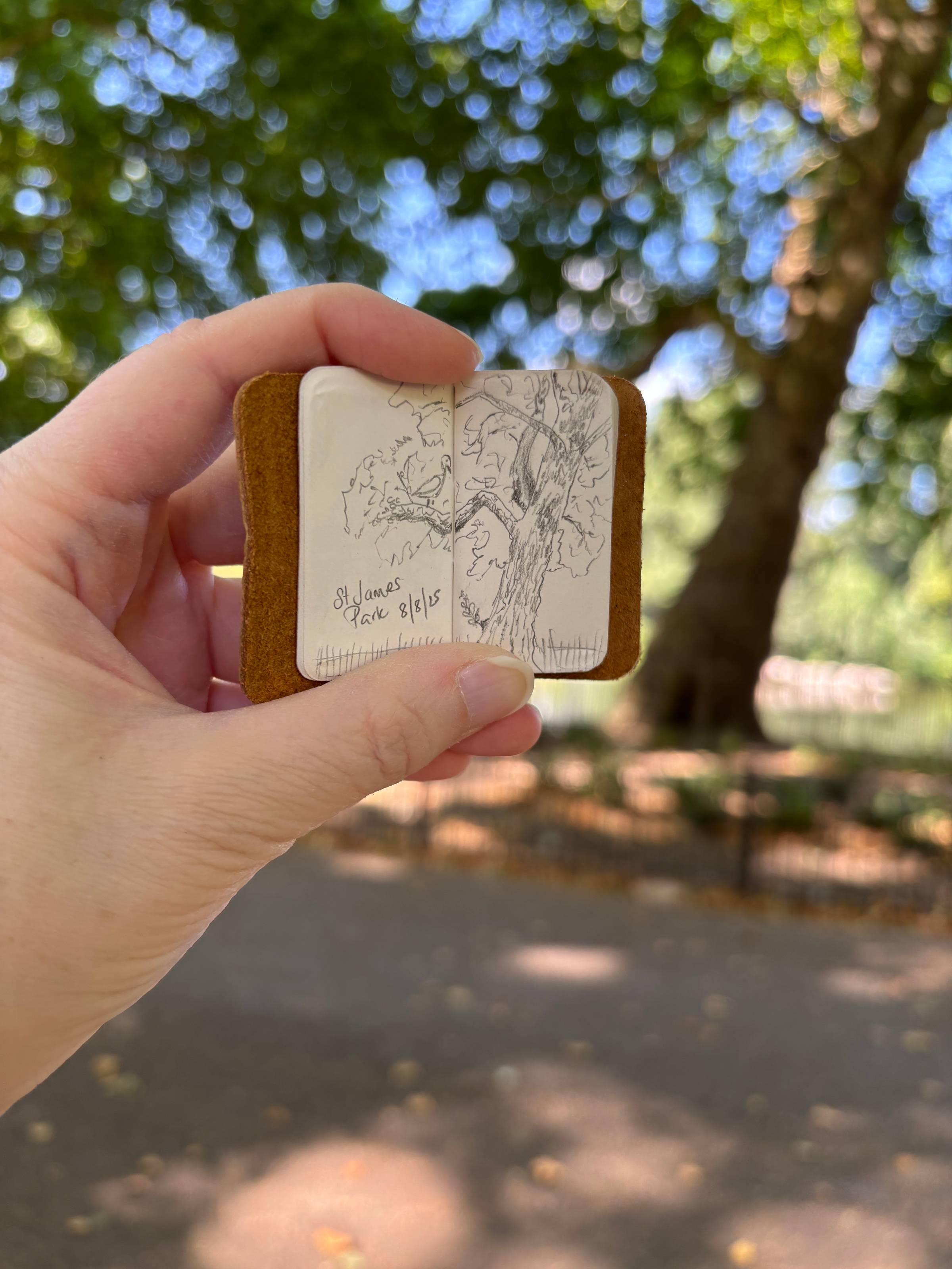 a tiny sketch of a tree in a tiny sketchbook