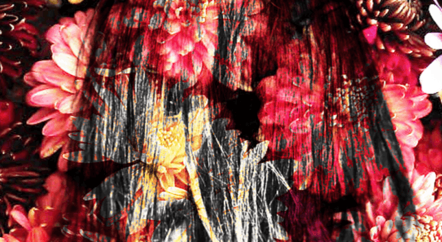 tjbf6kxvzqszhmptdw1thj3ele64f5vep78vfkv8d48yvni5.png.png?w=680&v=2