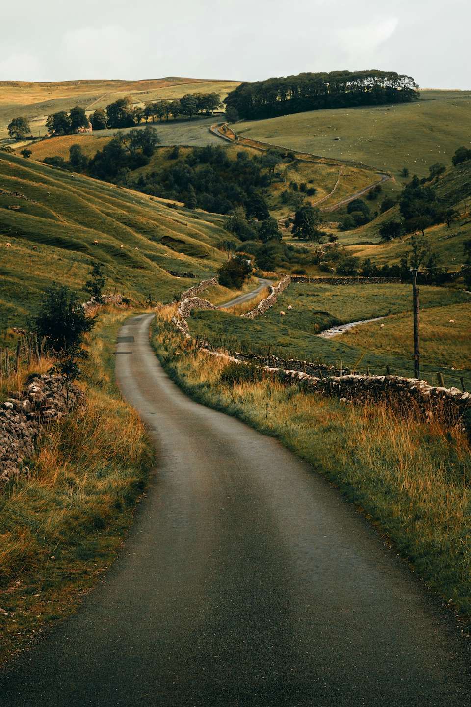 A photograph of the magnificent hills of the Yorkshire dales. A solitary lane, lined by an old stone wall, wends up and down the hills. The colors are shades of green, yellow, and rust. 