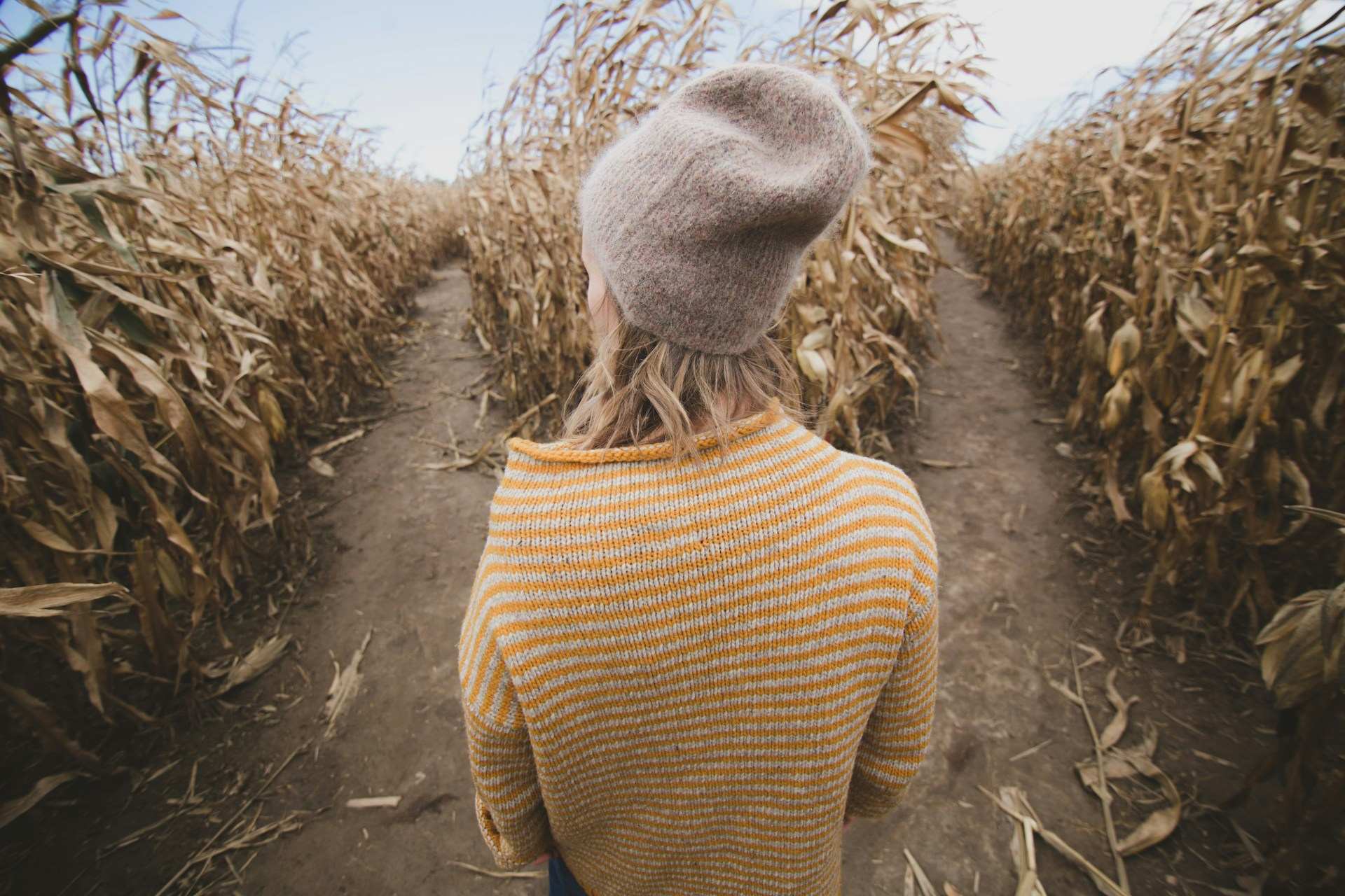 A person is seen from behind in a corn maze. They have long blond hair, a camel-colored knit wool hat, and a roll-top striped sweater in yellow and oatmeal. They face a decisions about which path to follow through the maze. We are unable to see the look on their face, but we sense hesitation. 
