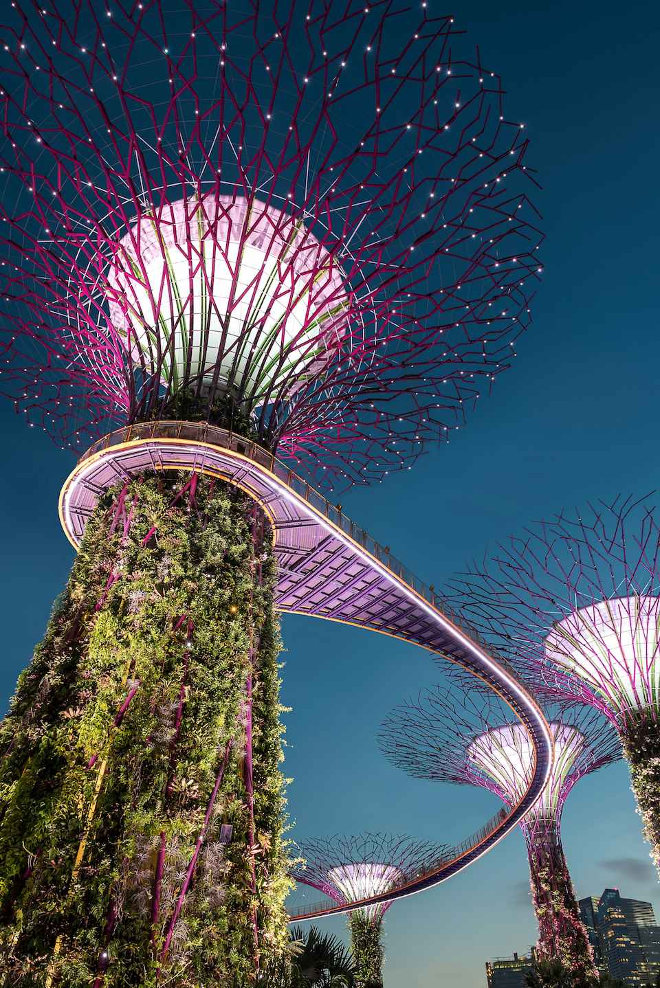 Photo of the futuristic-looking Gardens by the Bay, in Singapore. Towers of greenery have pink, coral-like structures with LED lights. And elevated platform that looks like train tracks runs between the towers. 
