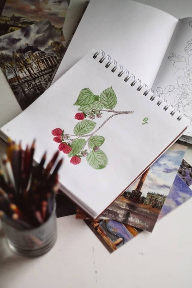 A spiral-bound sketchbook lies open to reveal a lovingly rendered illustration of raspberry branches with vibrant red berries and delicate green leaves. The sketchbook rests atop a scattered collection of atmospheric landscape postcards showing moody cityscapes and architectural scenes. In the corner, a glass jar brimming with colored pencils stands ready. The adjacent sketchbook page waits with faint floral outlines Photo credit: PureJulia/Unsplash.