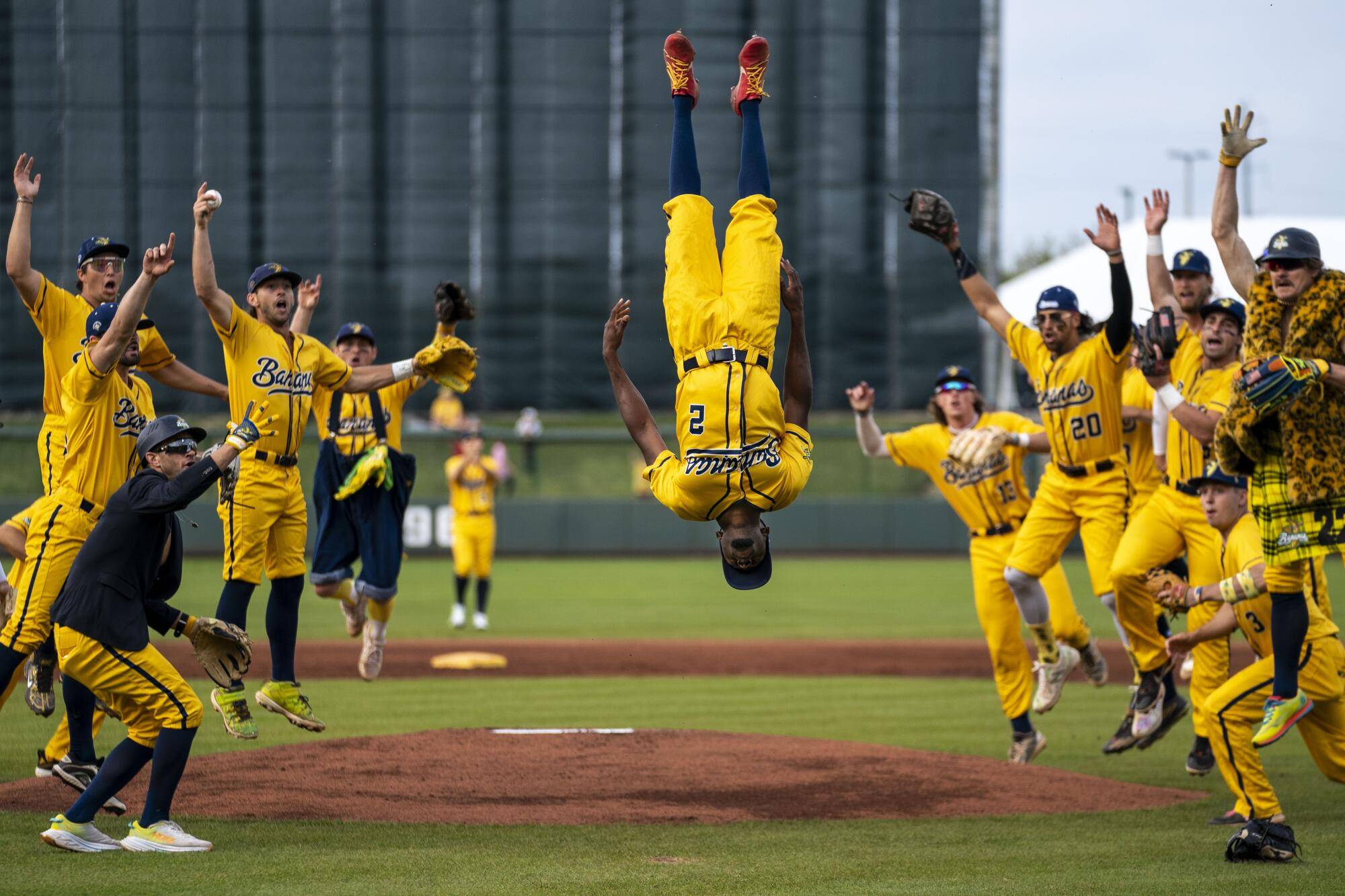 An electrifying moment of pure joy captured on a baseball diamond! A player in a bright yellow uniform (wearing #2) performs a perfect backflip at center field, suspended upside-down in mid-air with his red cleats pointing skyward. Surrounding him, his teammates—all wearing matching vibrant yellow uniforms with "Bananas" emblazoned across their chests—leap, cheer, and throw their hands up in wild celebration. The scene explodes with energy against the green grass and dirt infield, with players rushing from all directions toward the airborne teammate. Their expressions reveal unbridled elation, capturing that magical split-second when triumph transforms into physical euphoria. This isn't just a win—it's the kind of victory that demands you literally turn your world upside down in celebration