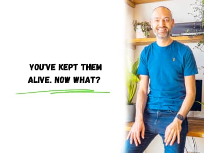 You've kept them alive. Now what?