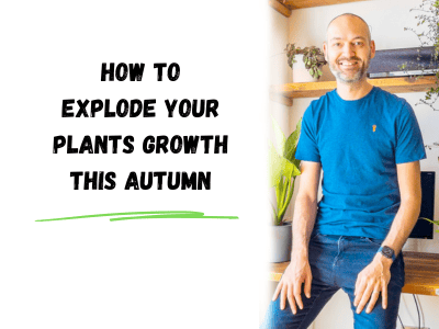 how to explode your plants growth this autumn