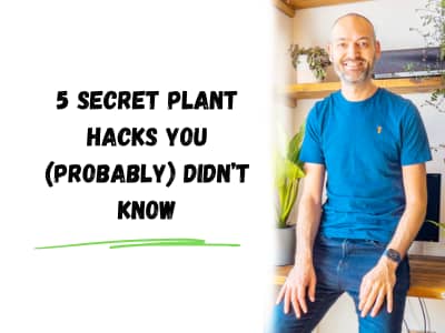 5 secret plant hacks you (probably) didn't know