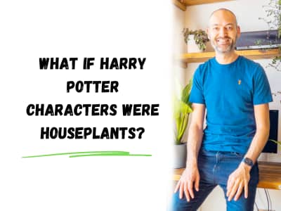 what if harry potter characters were houseplants?