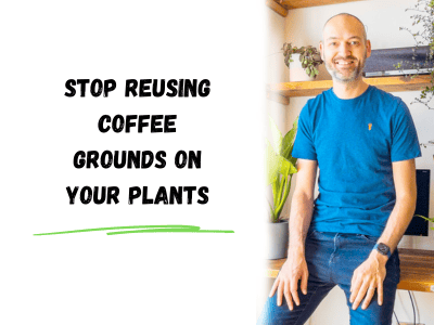 stop reusing coffee grounds on your plants