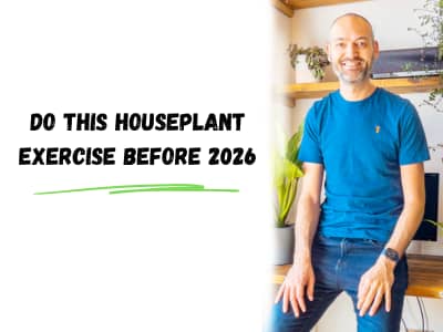 do this houseplant exercise before 2026