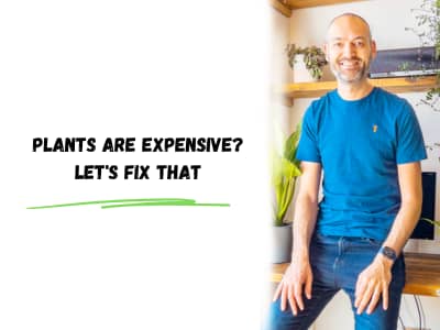 plants are expensive? let's fix that