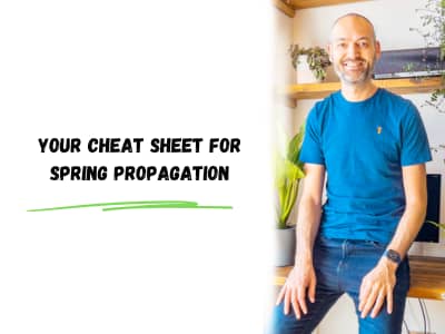your cheat sheet for spring propagation