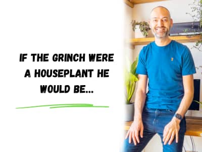 If the Grinch were a houseplant, he would be...