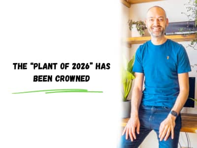 the plant of 2026 has been crowned