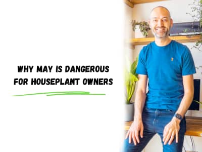 why may is dangerous for houseplant owners