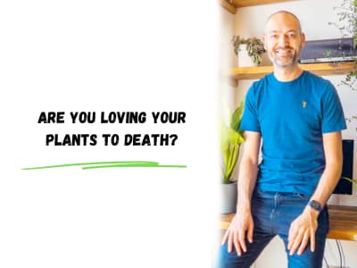 are you loving your plants to death