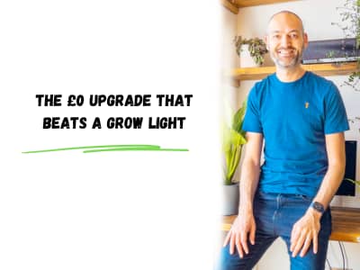 the £0 upgrade that beats a grow light