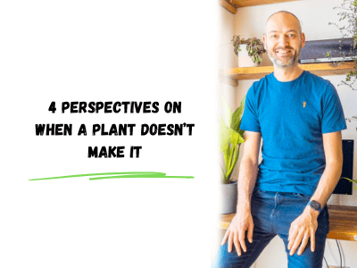 4 perspectives on when a plant doesn't make it