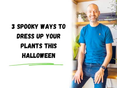 3 spooky ways to dress up your plants this halloween