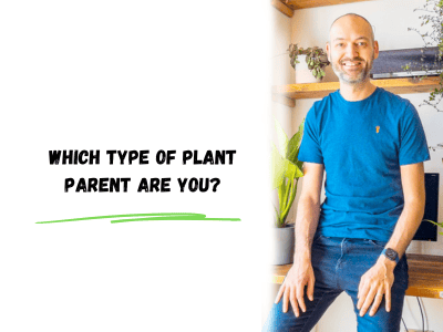 which type of plant parent are you?