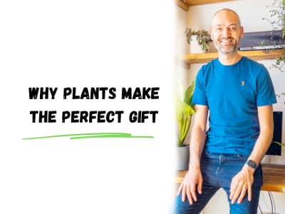 why plants make the perfect gift