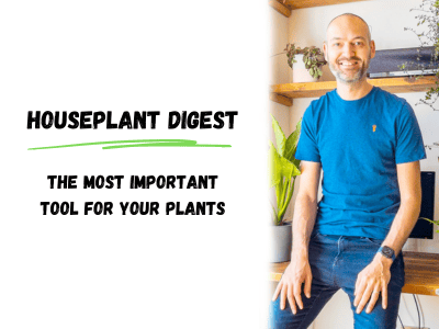 the most important tool for your plants