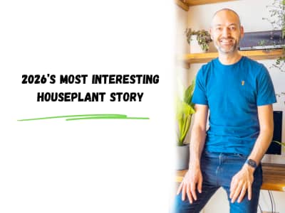 2026's most interesting houseplant story