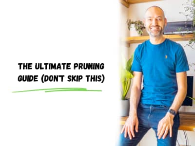the ultimate pruning guide (don't skip this)