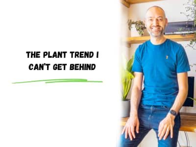 The plant trend I can't get behind
