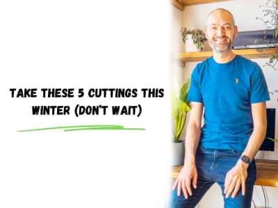 take these 5 cuttings this winter (don't wait)