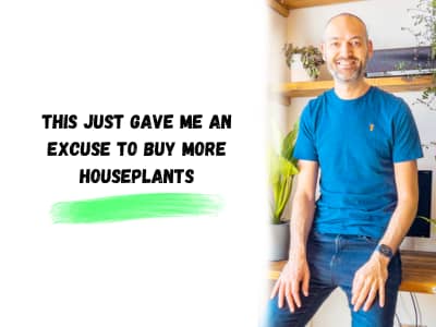 this just gave me an excuse to buy more houseplants