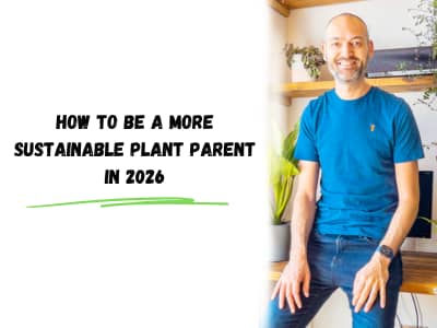 how to be a more sustainable plant parent in 2026