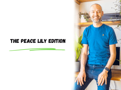 the peace lily edition
