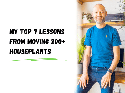 my top 7 lessons from moving 200+ houseplants