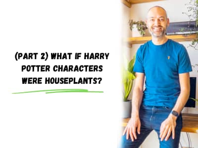 part 2 what is harry potter characters were houseplants