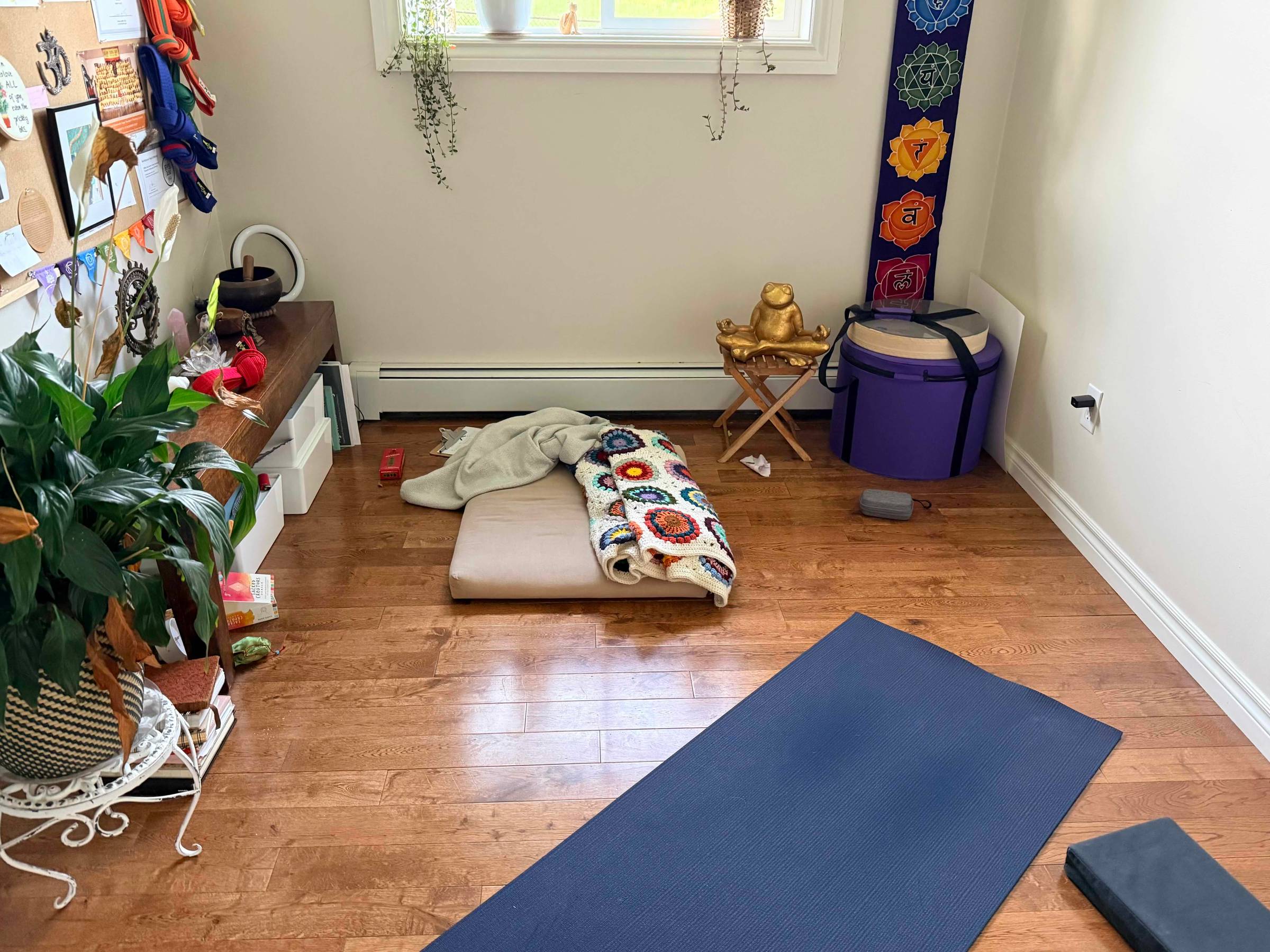 Michelle's Home Yoga and Meditation Practice Space
