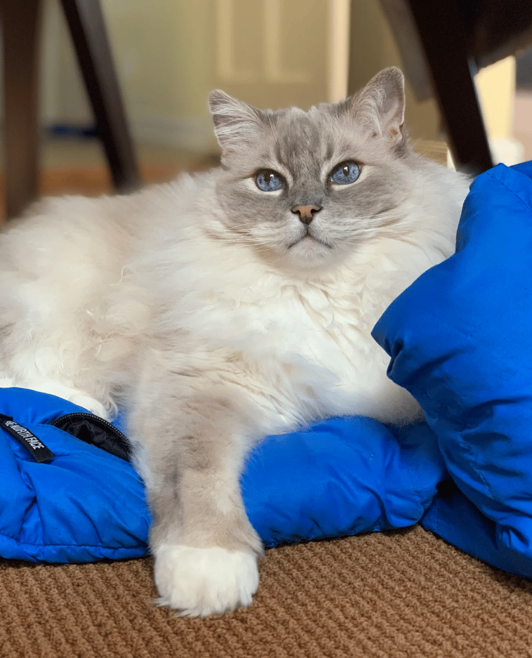 🥳 🎉 Happy 14th Birthday, Trigg! 🥳 🎉