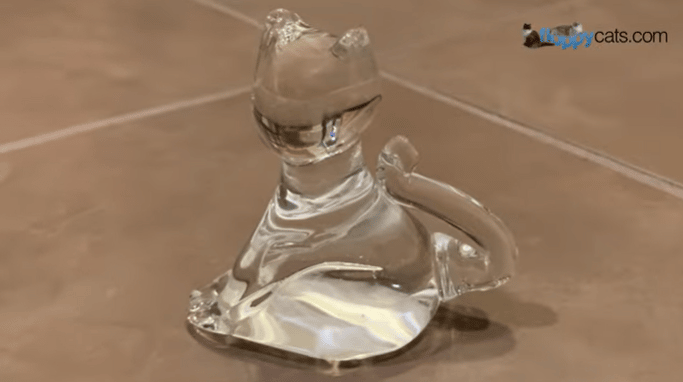 Glass Cat