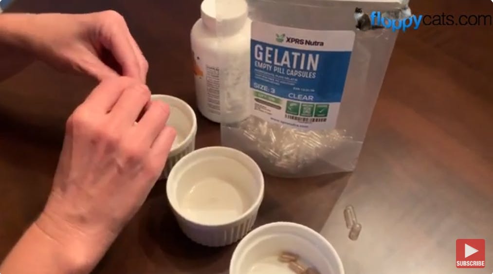 Goodbye Stress: Master Cat Medication with This DIY Pill Trick (Gelatin Caps!)