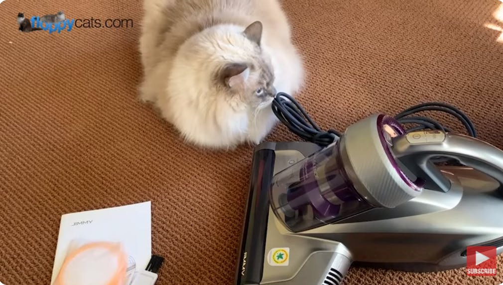 Deep Clean Dust & Pet Hair with the Jimmy Mattress Vacuum JV35: Unboxing