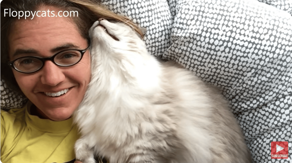 ​Snuggle Bunny Ragdoll Trigg in the Mornings​