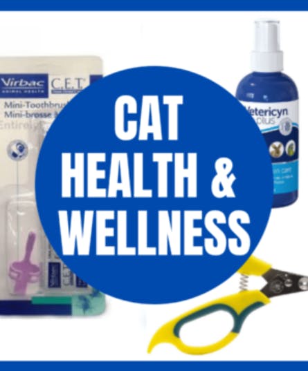 Cat Health and Wellness