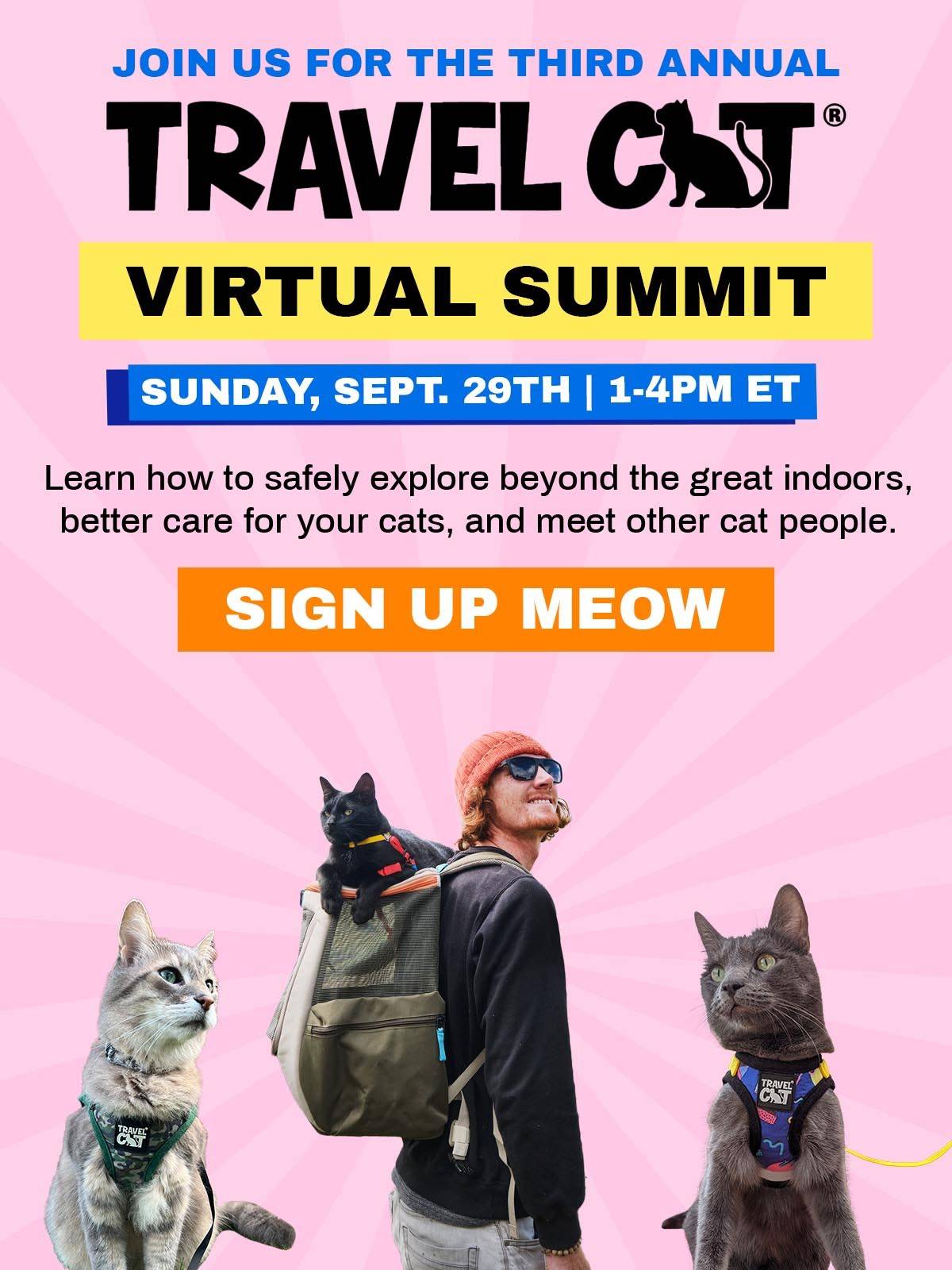 Calling all cat-lovers and adventurers! 
