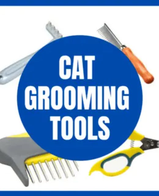 Cat Grooming Tools