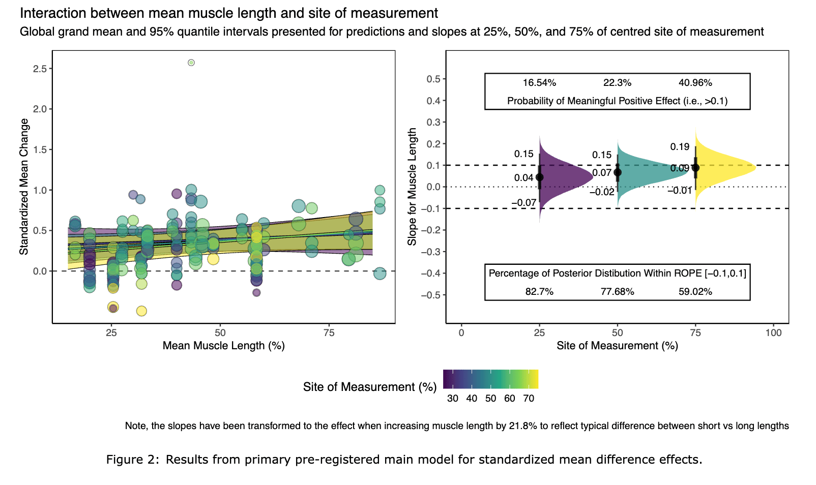 Does muscle length affect regional hypertrophy? • Stronger by Science