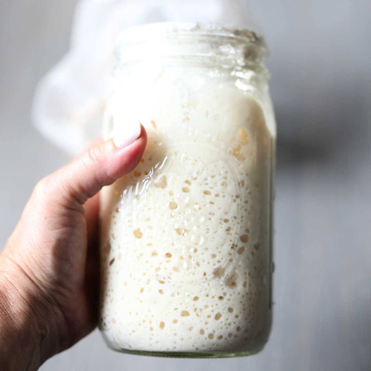 Gluten-free sourdough starter and sourdough bread recipe
