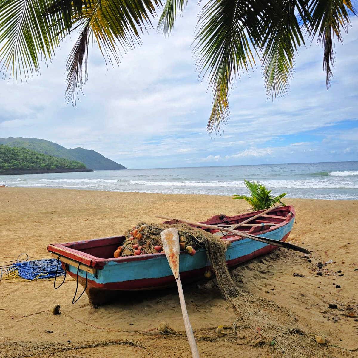 Fresh Flavors & Far-Off Shores