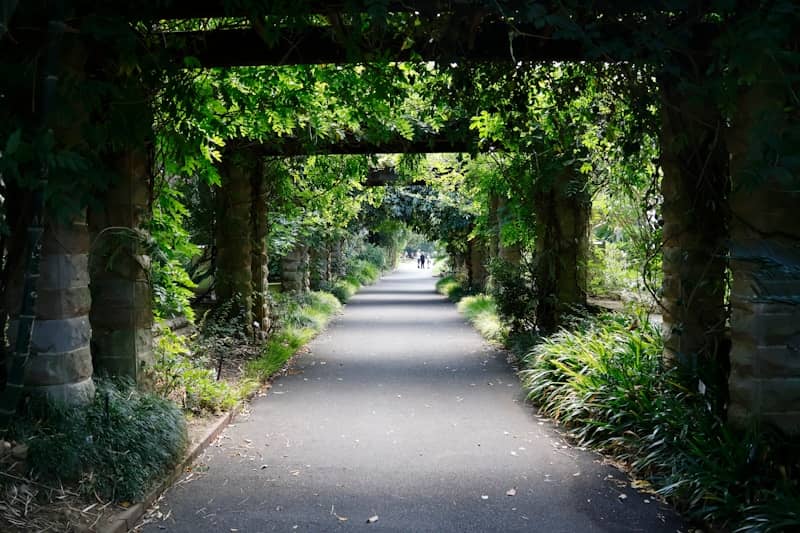 A paved walkway through a lush, green garden archway.