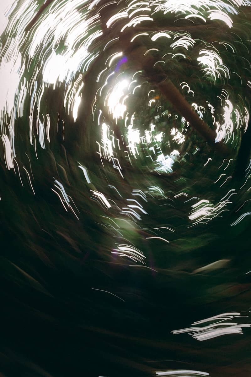 Abstract light streaks through dark foliage