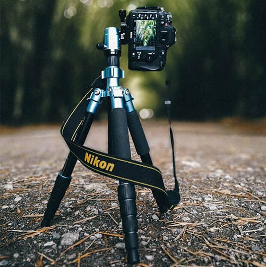 vertical film composition